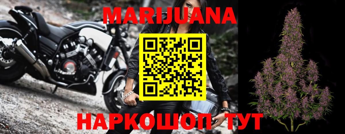Вятские Поляны  МАРИХУАНА конопля  Каннабис план  Вход с VPN 